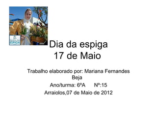 Dia da espiga
         17 de Maio
Trabalho elaborado por: Mariana Fernandes
                   Beja
         Ano/turma: 6ºA     Nº:15
       Arraiolos,07 de Maio de 2012
 