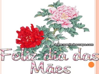 Dia da mae   liliana