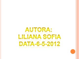 Dia da mae   liliana