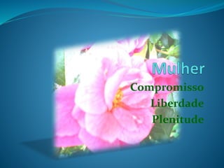 Compromisso
Liberdade
Plenitude
 