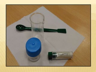 Dia da não violência e da paz nas