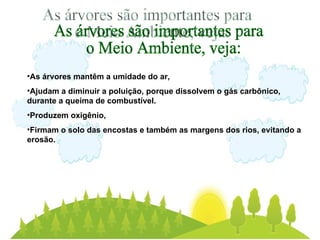 As árvores mantêm a umidade do ar,  Ajudam a diminuir a poluição, porque dissolvem o gás carbônico, durante a queima de combustível.  Produzem oxigênio,  Firmam o solo das encostas e também as margens dos rios, evitando a erosão. As árvores são importantes para o Meio Ambiente, veja: 