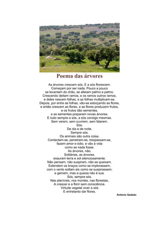 Poema das árvores
As árvores crescem sós. E a sós florescem.
Começam por ser nada. Pouco a pouco
se levantam do chão, se alteiam palmo a palmo.
Crescendo deitam ramos, e os ramos outros ramos,
e deles nascem folhas, e as folhas multiplicam-se.
Depois, por entre as folhas, vão-se esboçando as flores,
e então crescem as flores, e as flores produzem frutos,
e os frutos dão sementes,
e as sementes preparam novas árvores.
E tudo sempre a sós, a sós consigo mesmas.
Sem verem, sem ouvirem, sem falarem.
Sós.
De dia e de noite.
Sempre sós.
Os animais são outra coisa.
Contactam-se, penetram-se, trespassam-se,
fazem amor e ódio, e vão à vida
como se nada fosse.
As árvores, não.
Solitárias, as árvores,
exauram terra e sol silenciosamente.
Não pensam, não suspiram, não se queixam.
Estendem os braços como se implorassem;
com o vento soltam ais como se suspirassem;
e gemem, mas a queixa não é sua.
Sós, sempre sós.
Nas planícies, nos montes, nas florestas,
A crescer e a florir sem consciência.
Virtude vegetal viver a sós
E entretanto dar flores.
António Gedeão
 