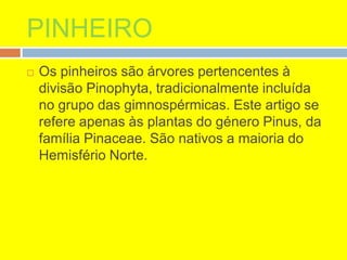 PINHEIRO
 Os pinheiros são árvores pertencentes à
divisão Pinophyta, tradicionalmente incluída
no grupo das gimnospérmicas. Este artigo se
refere apenas às plantas do género Pinus, da
família Pinaceae. São nativos a maioria do
Hemisfério Norte.
 