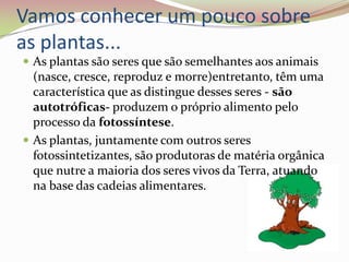 Vamos conhecer um pouco sobre as plantas...As plantas são seres que são semelhantes aos animais (nasce, cresce, reproduz e morre)entretanto, têm uma característica que as distingue desses seres - são autotróficas- produzem o próprio alimento pelo processo da fotossíntese.As plantas, juntamente com outros seres fotossintetizantes, são produtoras de matéria orgânica que nutre a maioria dos seres vivos da Terra, atuando na base das cadeias alimentares. 