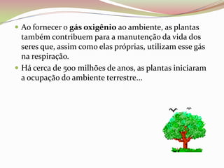Ao fornecer o gás oxigênio ao ambiente, as plantas também contribuem para a manutenção da vida dos seres que, assim como elas próprias, utilizam esse gás na respiração.Há cerca de 500 milhões de anos, as plantas iniciaram a ocupação do ambiente terrestre...