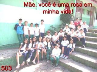 503 Mãe, você é uma rosa em minha vida! 