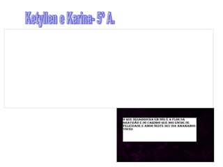 Ketyllen e Karina- 5º A. 