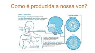 Como é produzida a nossa voz?
 