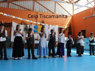 Ceip Tiscamanita