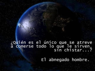 ¿Quién es el único que se atreve a comerse todo lo que le sirven, sin chistar...? El abnegado hombre.  