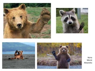 Núria
Mercè
Alexandra
 