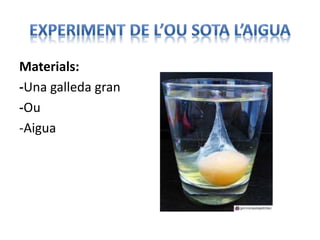 Materials:
-Una galleda gran
-Ou
-Aigua
 
