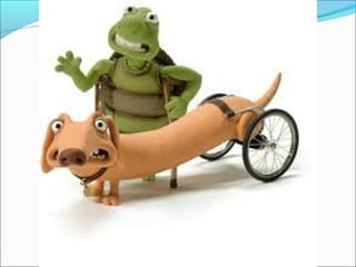 Día de la discapacidad