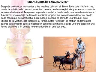 UNA “LENGUA DE LANA CARMESÍ”
Después de colocar las suertes a los machos cabríos, el Sumo Sacerdote hacía un lazo
con la lana teñida de carmesí entre los cuernos de chivo expiatorio, y este macho cabrío
se colocaba frente al Templo en la puerta oriental, a través de la cual será llevado fuera.
Asimismo, una madeja de lana de la misma longitud era colocada alrededor del cuello
de la cabra que se sacrificaba. Esta madeja de lana es llamada una "lengua" en el
idioma de la Mishna, por razón de su forma. Estas “lenguas” se ataban en torno a las
cabras para impedir que se mezclasen con otros animales, y cada uno era atado en una
forma distintiva a fin de que no se confundieran uno con otro.
 