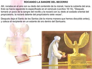 ROCIANDO LA SANGRE DEL BECERRO
Allí, rociaba en el aire con su dedo del contenido de la mizrak, hacia la cubierta del arca.
Esto se hacía siguiendo lo especificado en el versículo (Levítico 16:14), “Después
tomará un poco de la sangre del novillo y la rociará con su dedo al costado oriental del
propiciatorio, la rociará delante del propiciatorio siete veces“.
Después deja el Santo de los Santos (de la misma manera que hemos discutido antes),
y coloca el recipiente en un estante de oro dentro del Santuario.
 