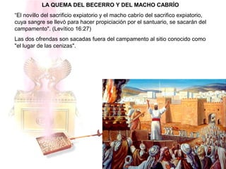 LA QUEMA DEL BECERRO Y DEL MACHO CABRÍO
“El novillo del sacrificio expiatorio y el macho cabrío del sacrifico expiatorio,
cuya sangre se llevó para hacer propiciación por el santuario, se sacarán del
campamento". (Levítico 16:27)
Las dos ofrendas son sacadas fuera del campamento al sitio conocido como
"el lugar de las cenizas".
 