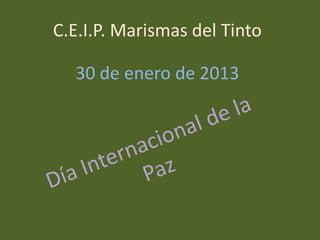C.E.I.P. Marismas del Tinto

  30 de enero de 2013
 