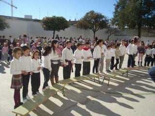Diadelapaz2012