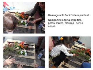 Hem agafat la flor i l’estem plantant.
Compartim la feina entre tots,
pares, mares, mestres i nens i
nenes.
 