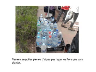 Teníem ampolles plenes d’aigua per regar les flors que vam
plantar.
 