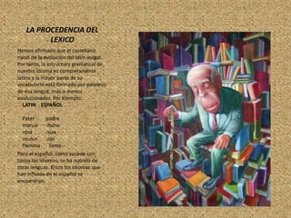 LA PROCEDENCIA DEL LEXICOHemos afirmado que el castellano nació de la evolución del latín vulgar. Por tanto, la estructura gramatical de nuestro idioma es completamente latina y la mayor parte de su vocabulario está formado por palabras de esa lengua, más o menos evolucionadas. Por ejemplo:    LATIN    ESPAÑOL    Pater         padre    manus       mano    rosa           rosa    oculus        ojo    flamma       llamaPero el español, como sucede con todos los idiomas, se ha nutrido de otras lenguas. Entre los idiomas que han influido en el español se encuentran: