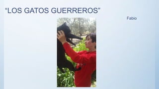 “LOS GATOS GUERREROS”
Fabio
 