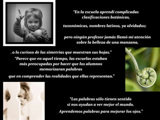 “En la escuela aprendí complicadas
                                           clasificaciones botánicas,

                                taxonómicas, nombres latinos, ya olvidados;

                                 pero ningún profesor jamás llamó mi atención
                                       sobre la belleza de una manzana,

...o   lo curioso de las simetrías que muestran sus hojas.”
   “Parece que en aquel tiempo, las escuelas estaban
     más preocupadas por hacer que los alumnos
                memorizaran palabras
que en comprender las realidades que ellas representan.”




                                    “Las palabras sólo tienen sentido
                                  si nos ayudan a ver mejor el mundo.
                              Aprendemos palabras para mejorar los ojos.”
 