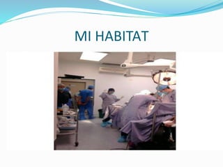 MI HABITAT 
 