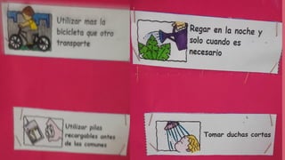 Dia del medio ambiente