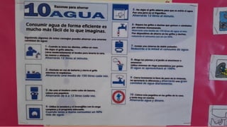 Dia del medio ambiente