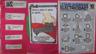 Dia del medio ambiente