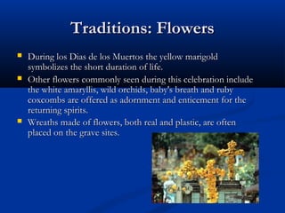 Traditions: FlowersTraditions: Flowers
 During los Dias de los Muertos the yellow marigoldDuring los Dias de los Muertos the yellow marigold
symbolizes the short duration of life.symbolizes the short duration of life.
 Other flowers commonly seen during this celebration includeOther flowers commonly seen during this celebration include
the white amaryllis, wild orchids, baby's breath and rubythe white amaryllis, wild orchids, baby's breath and ruby
coxcombs are offered as adornment and enticement for thecoxcombs are offered as adornment and enticement for the
returning spirits.returning spirits.
 Wreaths made of flowers, both real and plastic, are oftenWreaths made of flowers, both real and plastic, are often
placed on the grave sites.placed on the grave sites.
 