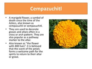 Cempazuchitl
• A marigold flower, a symbol of
death since the time of the
Aztecs, also known as
cempasuchil or zempasuchitl.
• They are used to decorate
graves and altars often in a
cross or arch pattern. They are
also popular as a pathway
marker to the altar.
• Also known as "the flower
with 400 lives”. It is believed
that the scent of the petals
forms a welcome path for the
spirits to return to their altar
or grave.
 