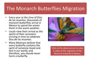 The Monarch Butterflies Migration
• Every year at the time of Dias
de los muertos, thousands of
monarch butterflies arrive in
Mexico to spend the winter
there in the warm weather.
• Locals view their arrival as the
spirits of their ancestors
arriving in time to celebrate
Dias de los muertos.
• Many Mexicans believe that
every butterfly contains the
spirit of someone loved and
lost in our world, and
therefore, you should never
harm a butterfly.
Click on the above picture to view
A video of the migration of the
Monarch butterfly to Mexico.
 