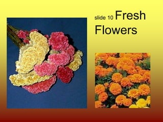 slide 10 Fresh 
Flowers 
 