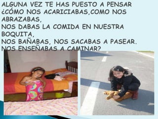 ALGUNA VEZ TE HAS PUESTO A PENSAR ¿CÓMO NOS ACARICIABAS,COMO NOS ABRAZABAS,NOS DABAS LA COMIDA EN NUESTRA BOQUITA,NOS BAÑABAS, NOS SACABAS A PASEAR.NOS ENSEÑABAS A CAMINAR?