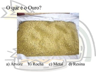 O que é o Ouro?

a) Árvore

b) Rocha

c) Metal

d) Resina

 