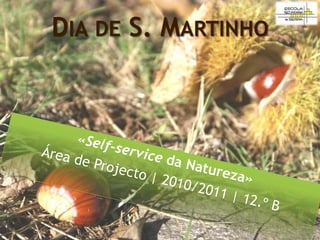 DIA DE S. MARTINHO
 