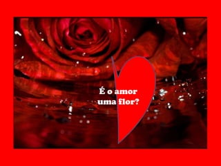 É o amor uma flor? 