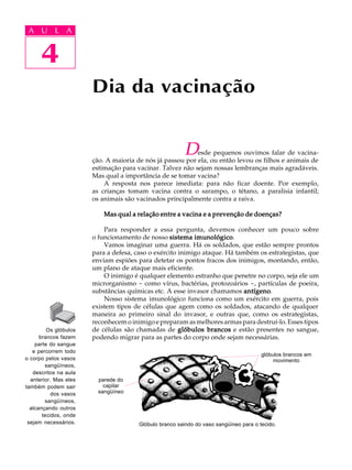 4
A U L A
4
A U L A
Dia da vacinação
Desde pequenos ouvimos falar de vacina-
ção. A maioria de nós já passou por ela, ou então levou os filhos e animais de
estimação para vacinar. Talvez não sejam nossas lembranças mais agradáveis.
Mas qual a importância de se tomar vacina?
A resposta nos parece imediata: para não ficar doente. Por exemplo,
as crianças tomam vacina contra o sarampo, o tétano, a paralisia infantil;
os animais são vacinados principalmente contra a raiva.
Mas qual a relação entre a vacina e a prevenção de doenças?Mas qual a relação entre a vacina e a prevenção de doenças?Mas qual a relação entre a vacina e a prevenção de doenças?Mas qual a relação entre a vacina e a prevenção de doenças?Mas qual a relação entre a vacina e a prevenção de doenças?
Para responder a essa pergunta, devemos conhecer um pouco sobre
o funcionamento de nosso sistema imunológicosistema imunológicosistema imunológicosistema imunológicosistema imunológico.
Vamos imaginar uma guerra. Há os soldados, que estão sempre prontos
para a defesa, caso o exército inimigo ataque. Há também os estrategistas, que
enviam espiões para detetar os pontos fracos dos inimigos, montando, então,
um plano de ataque mais eficiente.
O inimigo é qualquer elemento estranho que penetre no corpo, seja ele um
microrganismo - como vírus, bactérias, protozoários -, partículas de poeira,
substâncias químicas etc. A esse invasor chamamos antígenoantígenoantígenoantígenoantígeno.
Nosso sistema imunológico funciona como um exército em guerra, pois
existem tipos de células que agem como os soldados, atacando de qualquer
maneira ao primeiro sinal do invasor, e outras que, como os estrategistas,
reconhecem o inimigo e preparam as melhores armas para destruí-lo. Esses tipos
de células são chamadas de glóbulos brancosglóbulos brancosglóbulos brancosglóbulos brancosglóbulos brancos e estão presentes no sangue,
podendo migrar para as partes do corpo onde sejam necessárias.
Os glóbulos
brancos fazem
parte do sangue
e percorrem todo
o corpo pelos vasos
sangüíneos,
descritos na aula
anterior. Mas eles
também podem sair
dos vasos
sangüíneos,
alcançando outros
tecidos, onde
sejam necessários. Glóbulo branco saindo do vaso sangüíneo para o tecido.
glóbulos brancos em
movimento
parede do
capilar
sangüíneo
 