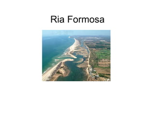 Ria Formosa 