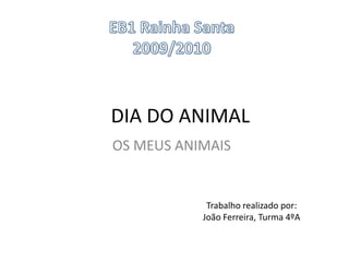 EB1 Rainha Santa 2009/2010 DIA DO ANIMAL OS MEUS ANIMAIS Trabalho realizado por:João Ferreira, Turma 4ºA 