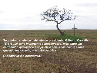 Segundo o chefe de gabinete do presidente, Gilberto Carvalho:   "Ele (Lula) acha importante a preservação, mas entre um cerradinho qualquer e a soja, ele é soja. O ambiente é uma questão importante, mas não decisiva.  O decisivo é a economia." 