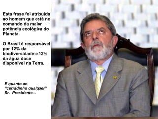 Esta frase  foi  atribuída ao homem que está no comando da maior potência ecológica do Planeta. O Brasil é responsável por 12% da biodiversidade e 12% da água doce disponível na Terra. E quanto ao  “ cerradinho qualquer”  Sr.  Presidente... 