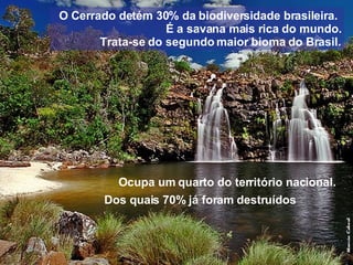 O Cerrado detém 30% da biodiversidade brasileira.  É a savana mais rica do mundo. Trata-se do segundo maior bioma do Brasil. Dos quais 70% já foram destruídos Ocupa um quarto do território nacional. 