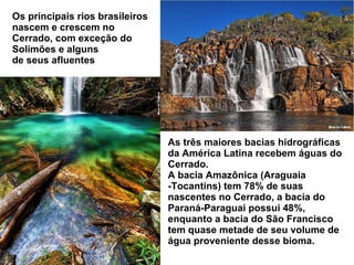 Os principais rios brasileiros  nascem e crescem no  Cerrado, com exceção do  Solimões e alguns  de seus afluentes  As três maiores bacias hidrográficas da América Latina recebem águas do Cerrado. A bacia Amazônica (Araguaia -Tocantins) tem 78% de suas nascentes no Cerrado, a bacia do Paraná-Paraguai possui 48%, enquanto a bacia do São Francisco tem quase metade de seu volume de água proveniente desse bioma. 