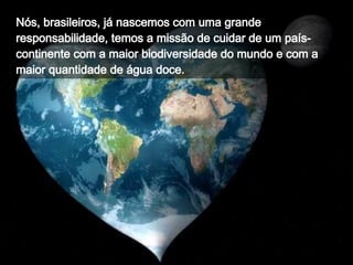 Nós, brasileiros, já nascemos com uma grande responsabilidade, temos a missão de cuidar de um país-continente com a maior biodiversidade do mundo e com a maior quantidade de água doce.   