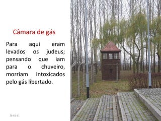 26-01-11 Para aqui eram levados os judeus; pensando que iam para o chuveiro, morriam intoxicados pelo gás libertado. Câmara de gás 