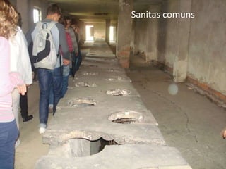 26-01-11 Sanitas comuns 